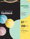Neenah Exact Vellum Bristol, 67 lb, 8.5 x 11 Inches, 250 Sheets, Green