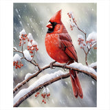Red Cardinal Paint by Numbers Kit for Adults - DIY Bird Painting on Canvas, Adults Paint-by-Number Kits Acrylic Paint Set for B