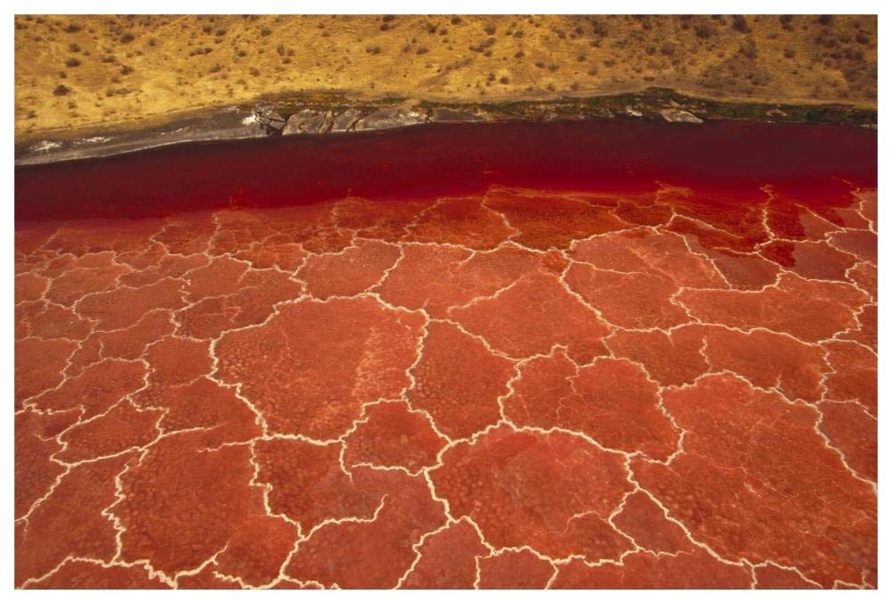 Soda Formations On The Surface Of Lake Natron, Tanzania, East Africa-Paper Art-62,,X42,,