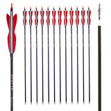 30Inch Carbon Arrow Archery Hunting/Targeting Practice Arrows with 5 Turkey Feathers for Compound Recurve Longbow 12Pack