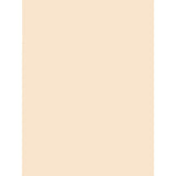 Pacon Tagboard
