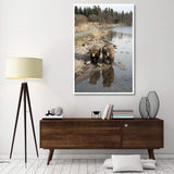 Grizzly Bear Mother And Yearling Walking Along River, Katmai National Park, Alaska-Paper Art-42,,X62,,