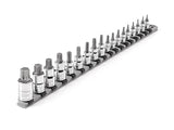 TEKTON 1/4, 3/8, 1/2 Inch Drive Torx Bit Socket Set with Rail, 18-Piece (T6-T80) | SHB99103