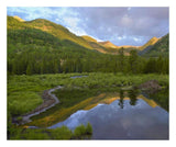 Pond And Boreal Forest, Ruby Range Near Crested Butte, Colorado-Paper Art-26,,X22,,