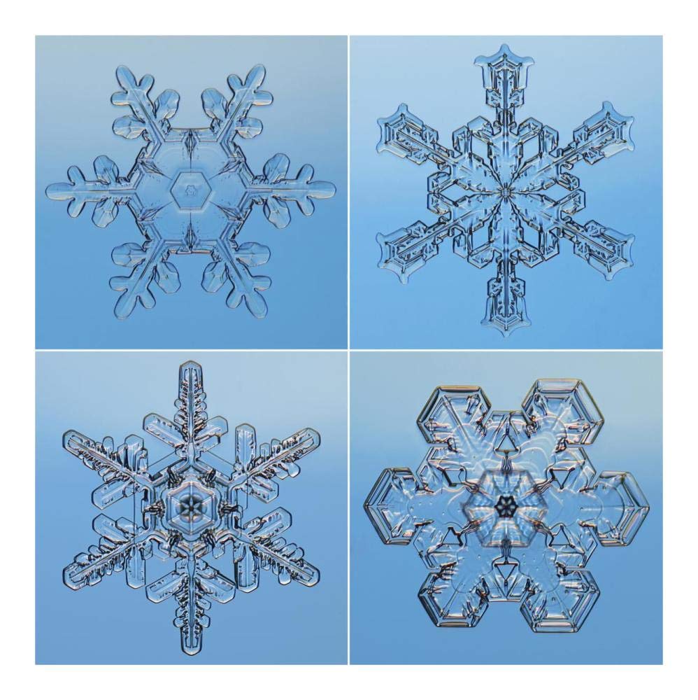 Snowflakes Seen Through Microscope-Paper Art-20X20