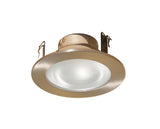 4 Inches Frosted Lens Shower Trim for Low Voltage Recessed Light-(Satin Nickel)- Fit Halo/Juno