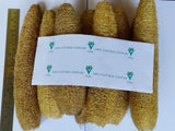 VVOS 10 Pieces 100% Long Natural Organic Bath Scrubber Loufah Sponges (20 cm to 25 cm) | EcoFriendly Exfoliating Bathing Sponge