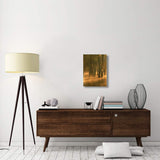 Bald Cypress Swamp, Calcasieu River Backwater, Lake Charles, Louisiana-Canvas Art-18X24