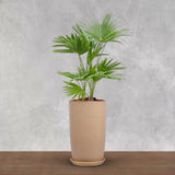 Bonkaso 18 Inch Beige Flower Pot Tall, Durable & Lightweight Polymer Tower Planter For Indoor & Outdoor Use: Home, Office, Gar