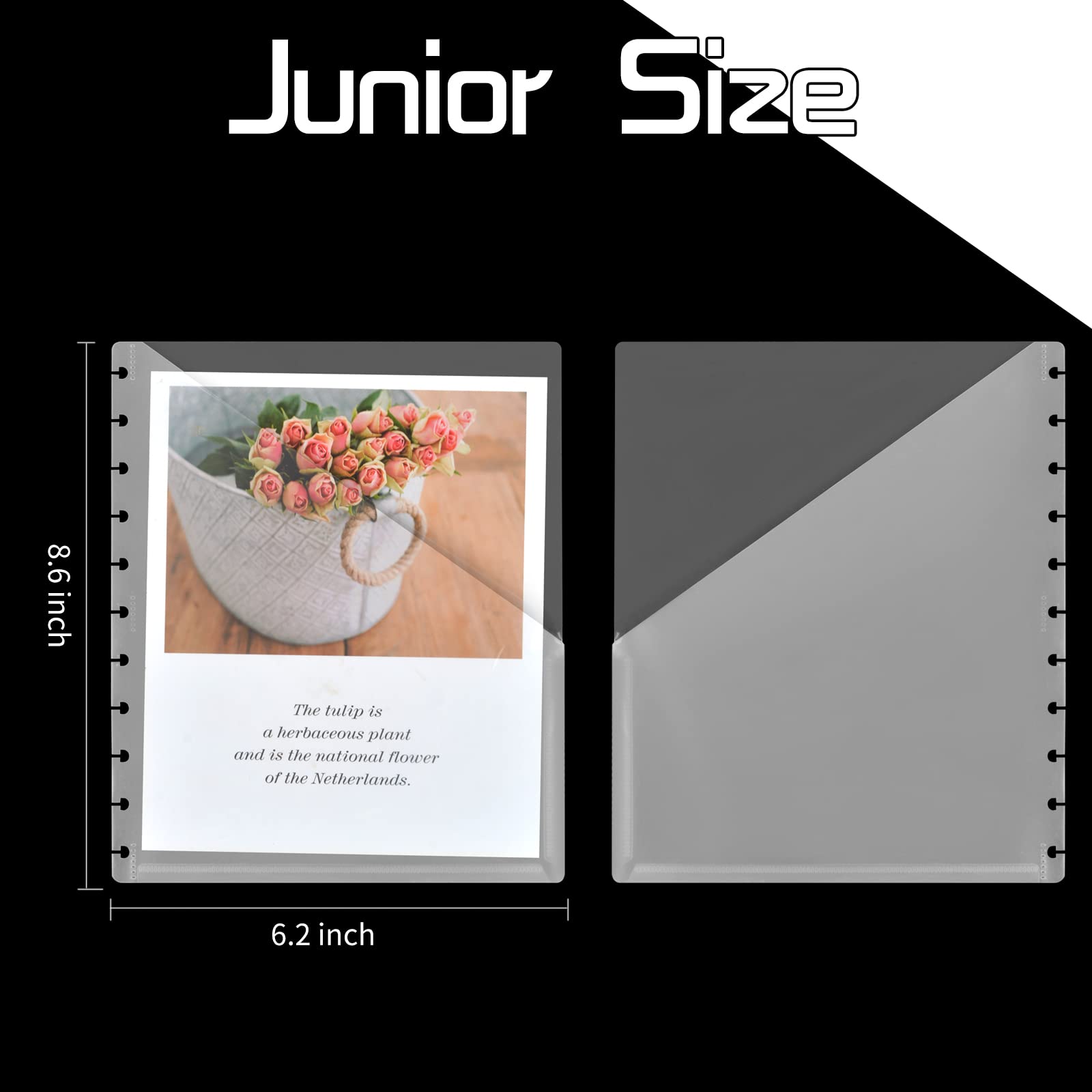 6 Pack Junior Discbound Pocket Dividers 5.5X8.5 inch Pocket Dividers Clear Discbound Notebook Dividers Junior Discbound Pocket F
