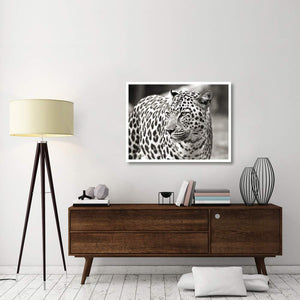 Portrait Of Leopard, South Africa-Paper Art-42,,X32,,