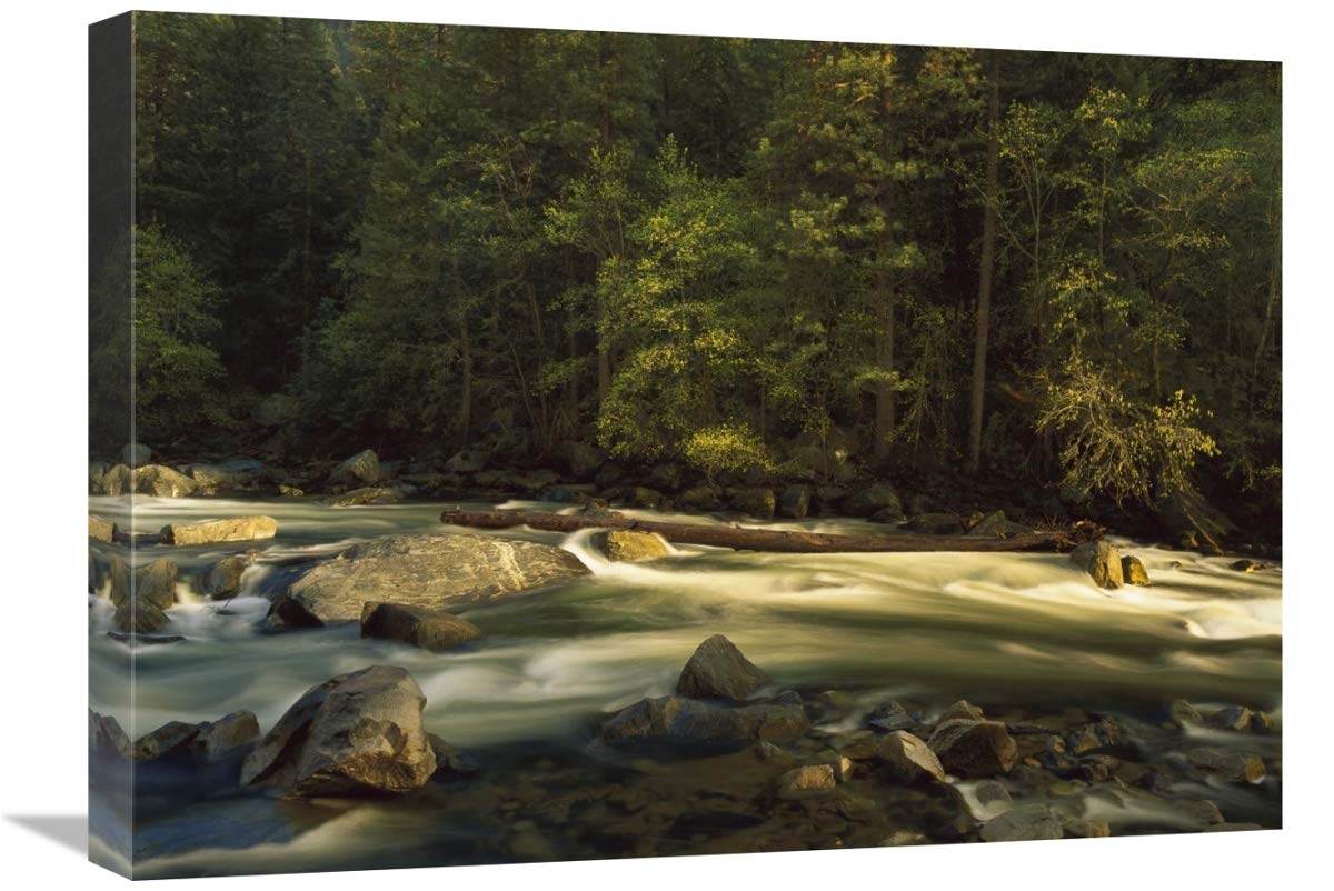 Merced River Flowing Through The Valley Floor, Yosemite National Park, California-Canvas Art-24X18