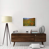 Hills Covered With California Poppies And Lupine Tehachapi Mountains, California-Paper Art-32,,X22,,