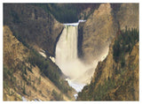 Lower Yellowstone Falls And Grand Canyon Of Yellowstone National Park, Wyoming-Paper Art-50,,X38,,