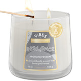 Candle-Lite Vibes Aromatic Fougere Scented Candles, Perfect Relaxation Mothers Day Gifts for Mom, Aromatherapy Mood-Enhancing, 1