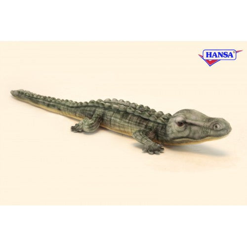 Alligator (Croc) 27.6,,L