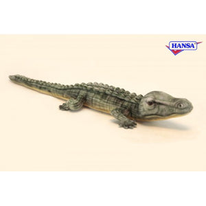 Alligator (Croc) 27.6,,L