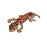 Pibora Brn Gecko 10L
