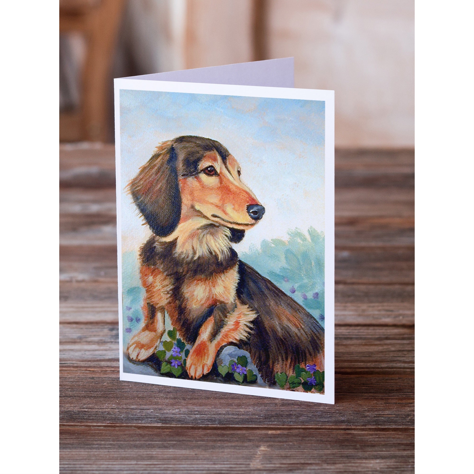 Long Hair Chocolate And Cream Dachshund Greeting Cards And Envelopes Pack Of 8