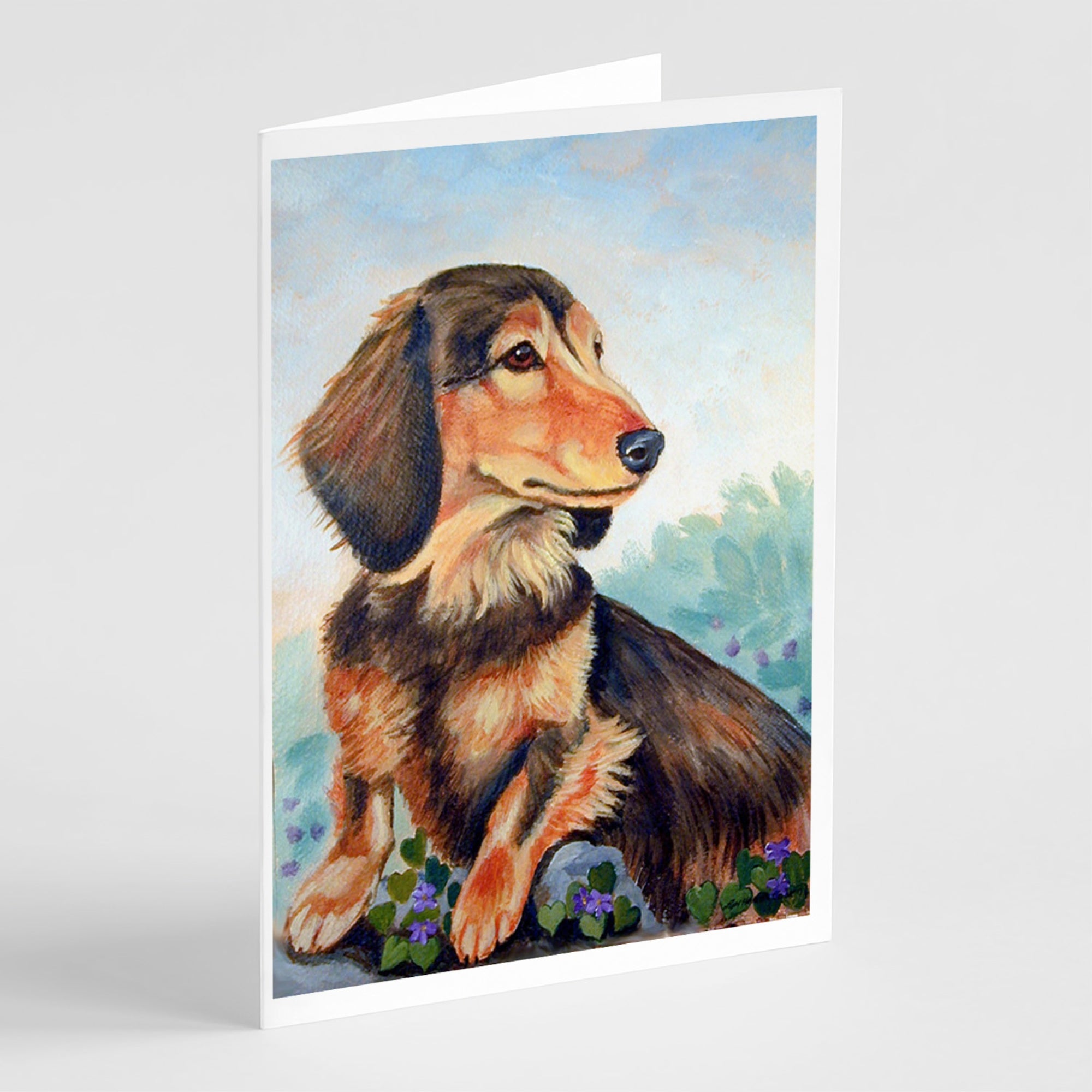 Long Hair Chocolate And Cream Dachshund Greeting Cards And Envelopes Pack Of 8