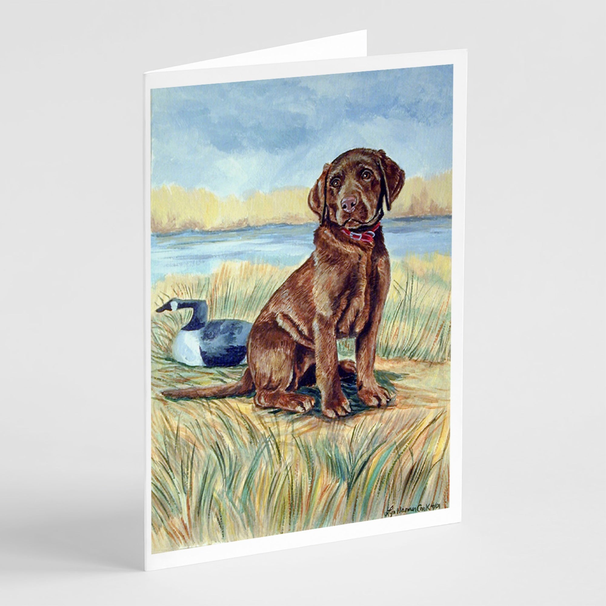 Chocolate Labrador Puppy  Greeting Cards And Envelopes Pack Of 8