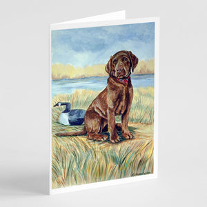 Chocolate Labrador Puppy  Greeting Cards And Envelopes Pack Of 8