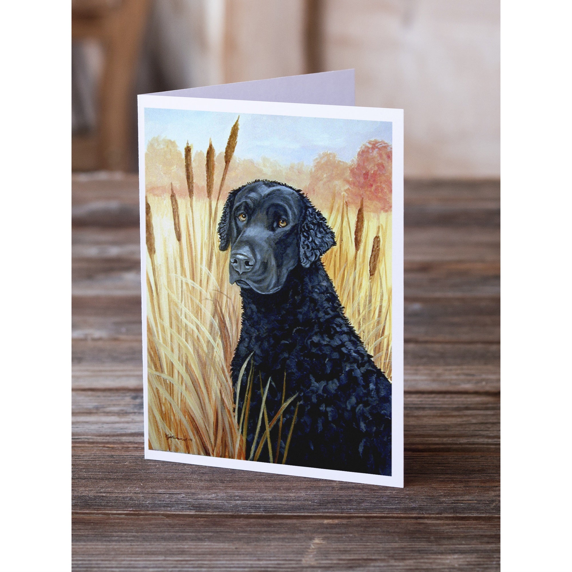 Curly Coated Retriever Greeting Cards And Envelopes Pack Of 8