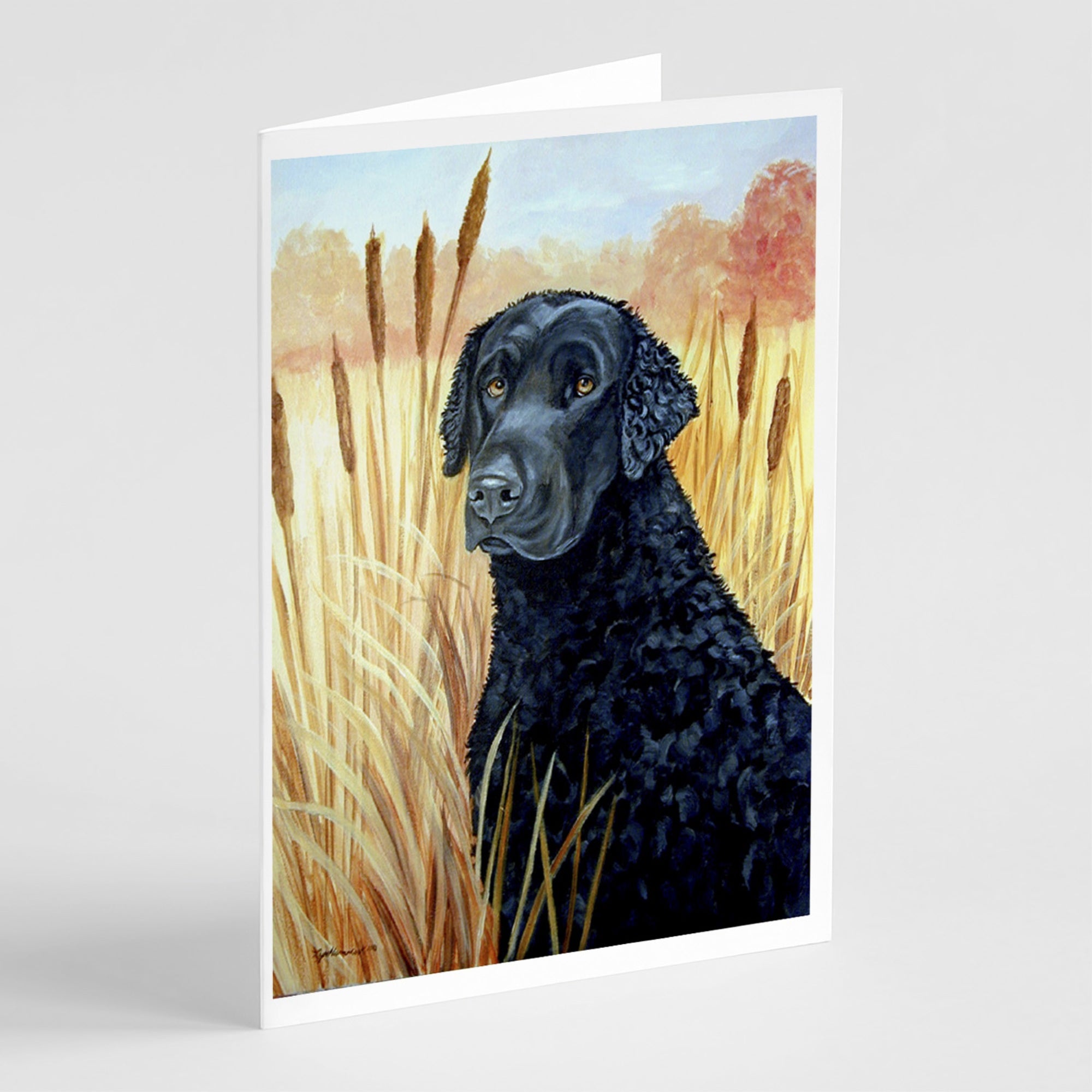 Curly Coated Retriever Greeting Cards And Envelopes Pack Of 8