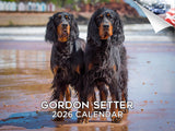 2025 2026 Gordon Setter Calendar - Dog Breed Monthly Wall Calendar - 12 x 18 Open - Thick No-Bleed Paper - Giftable - Academic T
