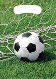 Soccer Fanatic Treat Bags (8 ct)
