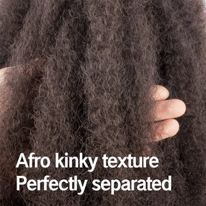 (2) - ToyoTress 6packs/lot Afro Kinky Curly Marley Braids Hair Extensions Kanekalon Synthetic Twist Crochet Braiding Hair (2)