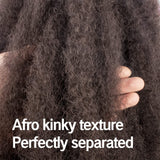 (2) - ToyoTress 6packs/lot Afro Kinky Curly Marley Braids Hair Extensions Kanekalon Synthetic Twist Crochet Braiding Hair (2)