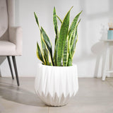 Ugaoo Precious Horcrux White Ceramic Pot (12.5 Inch Diameter)