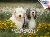 2025 2026 Bearded Collie Calendar - Dog Breed Monthly Wall Calendar - 12 x 18 Open - Thick No-Bleed Paper - Giftable - Academic 