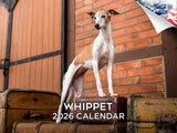 2025 2026 Whippet Calendar - Dog Breed Monthly Wall Calendar - 12 x 18 Open - Thick No-Bleed Paper - Giftable - Academic Teacher