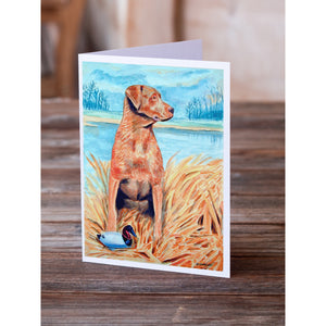 Chesapeake Bay Retriever Greeting Cards And Envelopes Pack Of 8