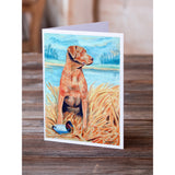 Chesapeake Bay Retriever Greeting Cards And Envelopes Pack Of 8