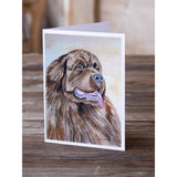 Newfoundland Greeting Cards And Envelopes Pack Of 8