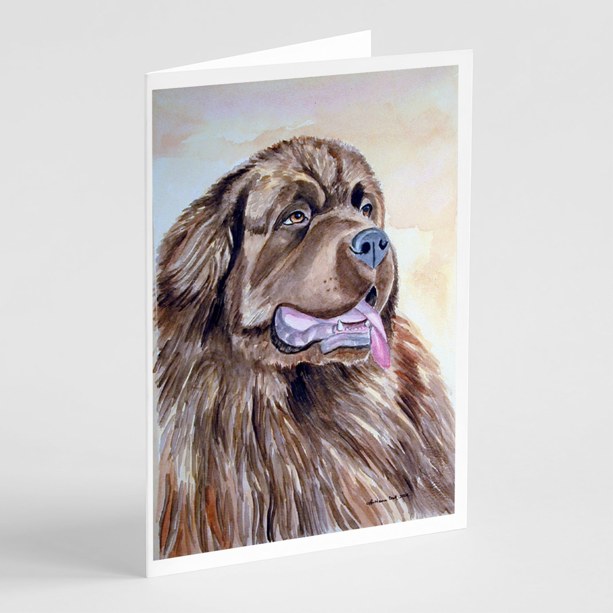 Newfoundland Greeting Cards And Envelopes Pack Of 8