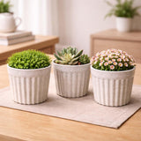 Go Hooked Plastic Flower Pot For Indoor Plants (4 Inch, Pack Of 3) | Decorative Ribbed Planter For Home, Office, Desk & Tabletop
