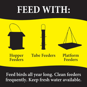 Wild Delight 099127 Bugs N Berries Wild Bird Food 4.5 Lb