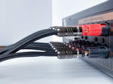 Goaycer 10Feet Speaker Cable with Banana Plugs,14 Gauge Oxygen-Free-Copper (OFC) Speaker Wire(10FT/One Cable)