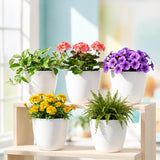 Xtore 5Pc Elegant Minimal Plastic Planter Pot For Home & Office DCor | Compact Round Flower Pot For Tabletop, Shelf, Balcony & I
