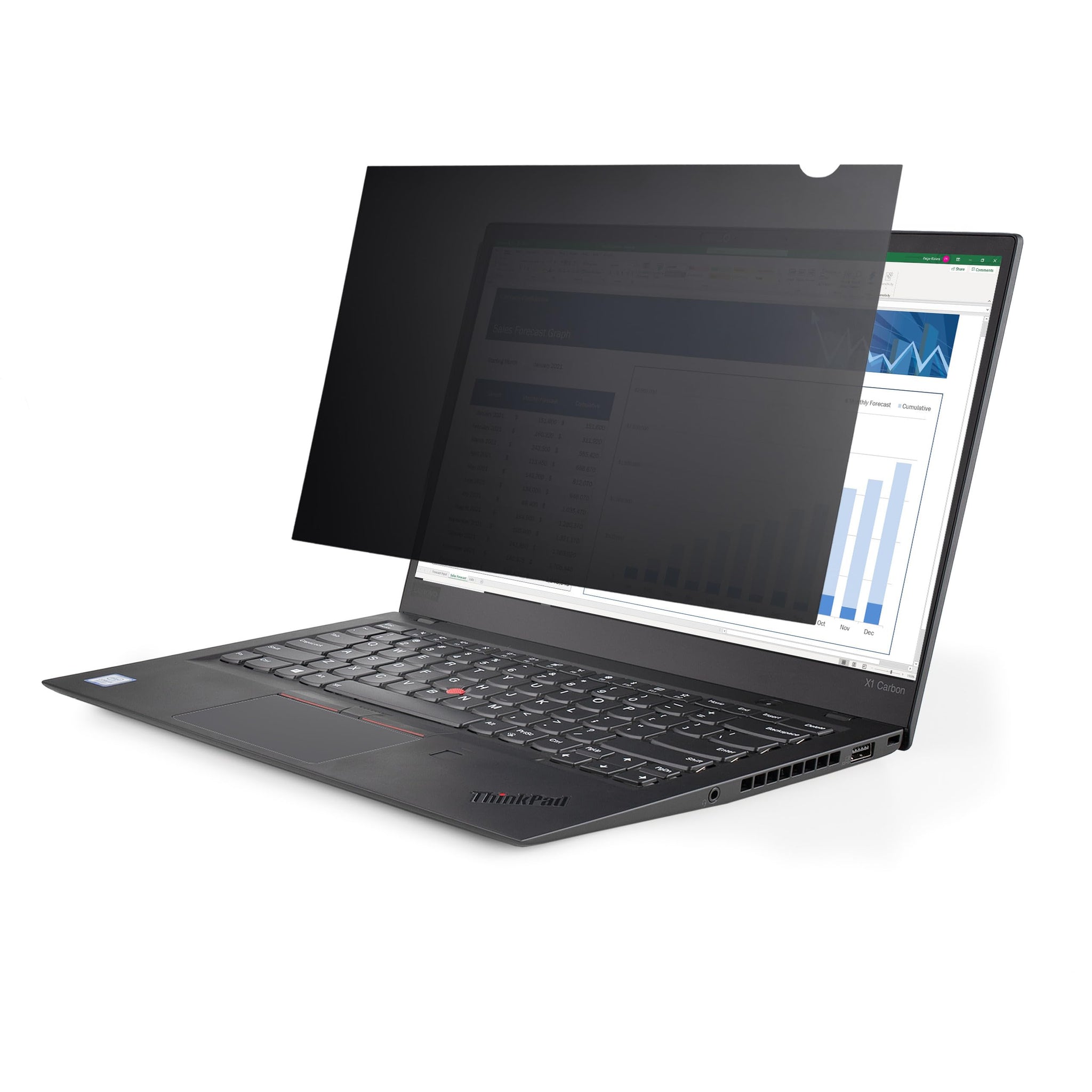 17.3 Laptop Privacy Filter