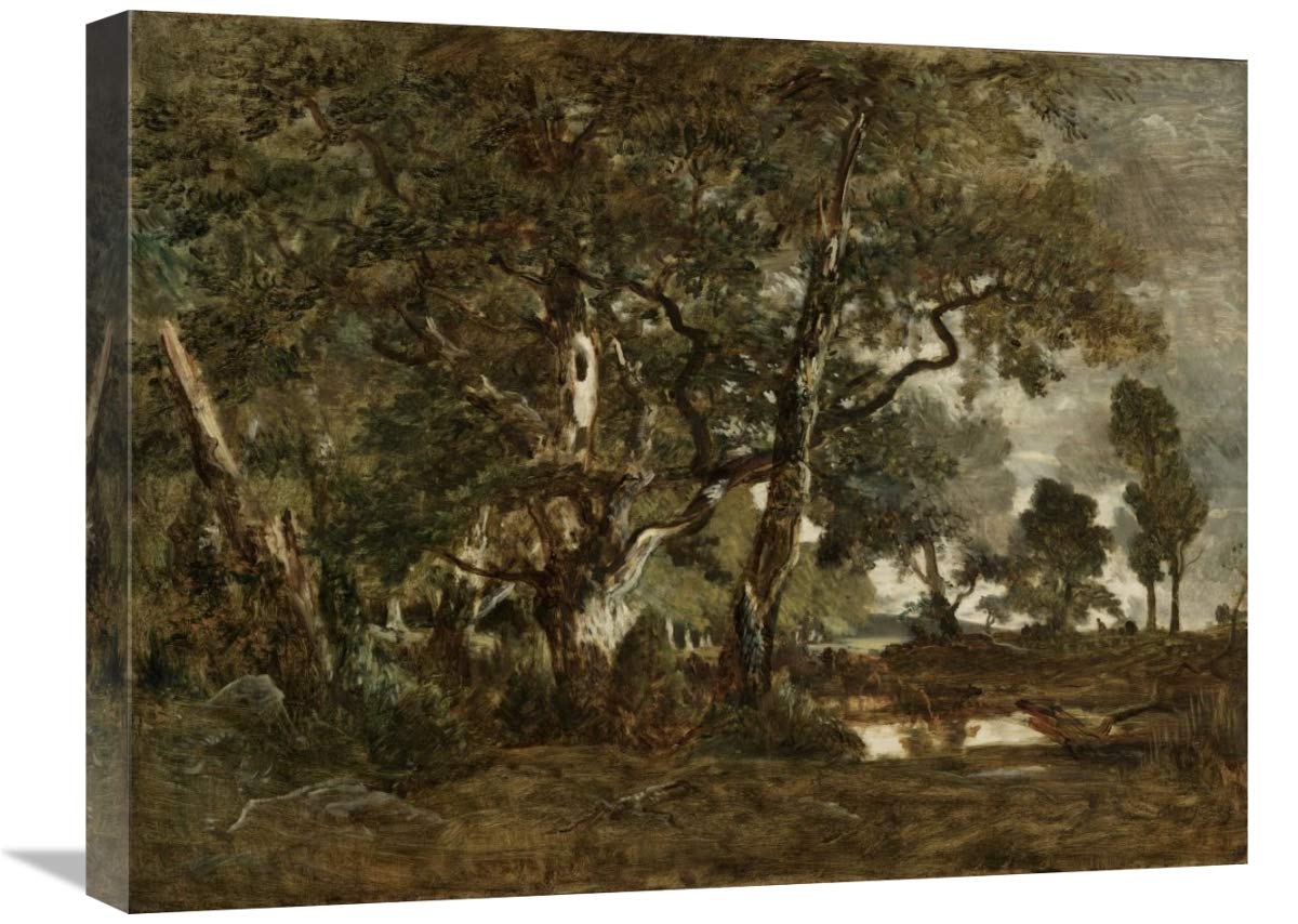 Forest Of Fontainebleau, Cluster Of Tall Trees Overlooking The Plain Of Clair-Bois At The Edge Of Bas-Breau-Canvas Art-24X18