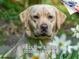 2025 2026 Labrador Yellow Calendar - Dog Breed Monthly Wall Calendar - 12 x 18 Open - Thick No-Bleed Paper - Giftable - Academic