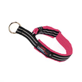 ComfortFlex Martingale Dog Collar - 1 Wide, Reflective, Adjustable, Fully Padded Nylon, Gentle Control, Escape-Proof, Limited Sl