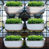 Trustbasket 12 Inches, Set Of 6 Railing Planter Premium Uv Resistant, AntiRust Hanging Pots For Plants | Stylish Hanging Plan