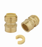 (Pack of 2) EFIELD Push Fit 3/4 x3/4 Female Adapters Push-to-Connect, Copper, CPVC Pipe With Disconnect Clip, 3/4 Inch