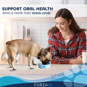 Forza10 Active Oral Care Dog Food, Limited Ingredient Dry Dental Dog Food For Dental Care And Bad Breath, 6 Pound Bag For Adult